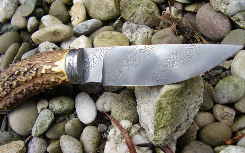 Hirsch_mit_Torsion_016.jpg