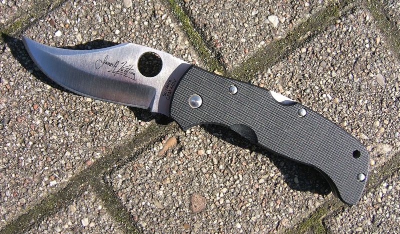 Chinook_1_.JPG