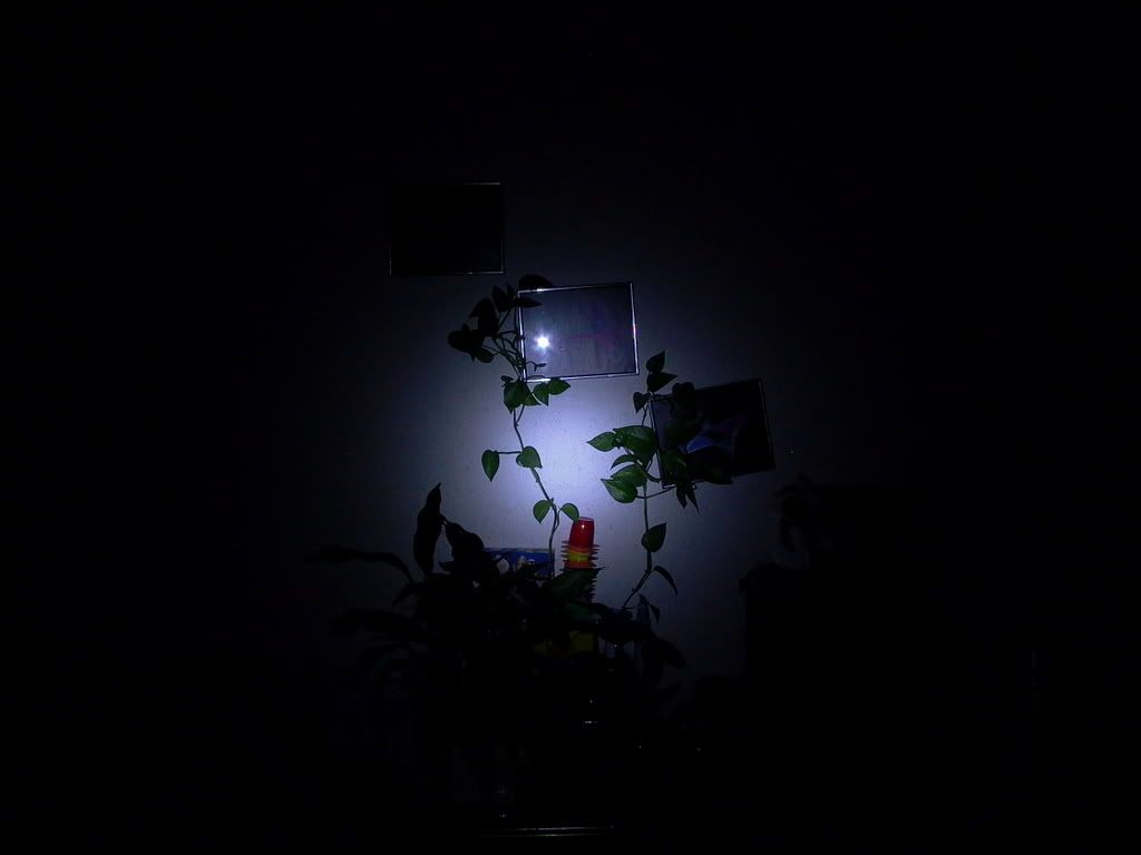 P1000115.jpg