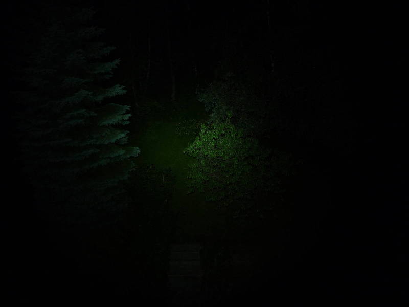 P1030226.JPG