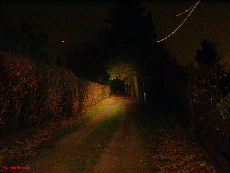 213_p1988.jpg
