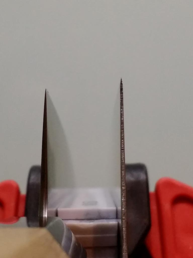 izNG8pK.jpg