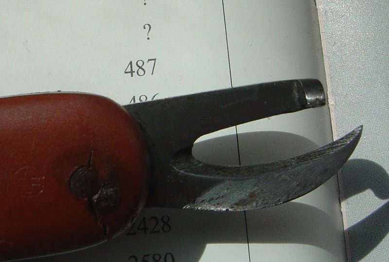 8003229ong.jpg