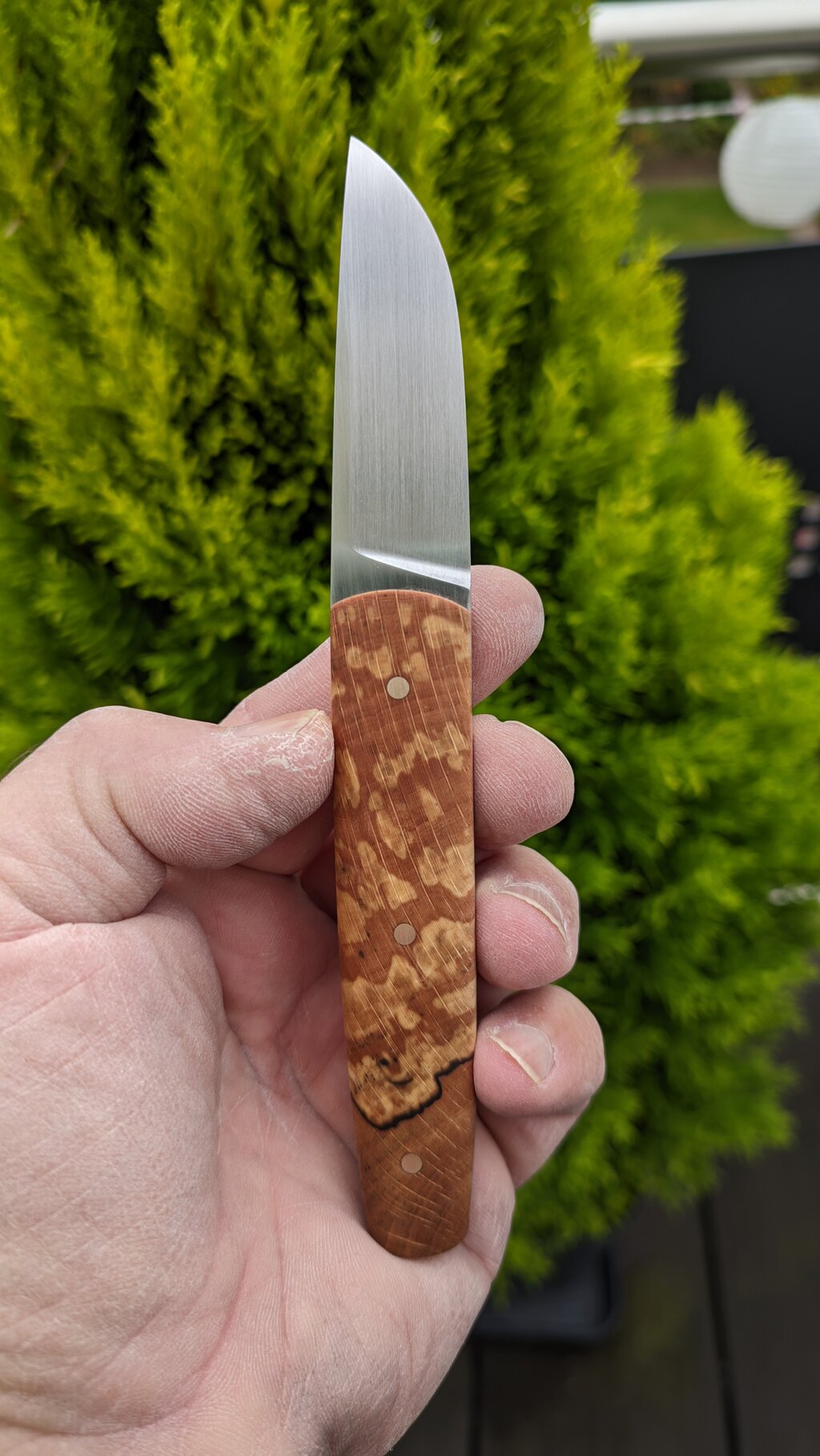 48870223pr.jpg