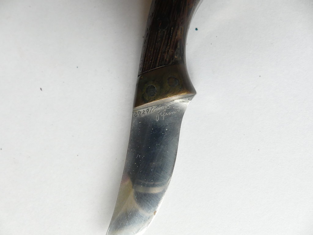 46096041ho.jpg