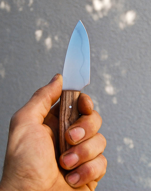 ham1.jpg