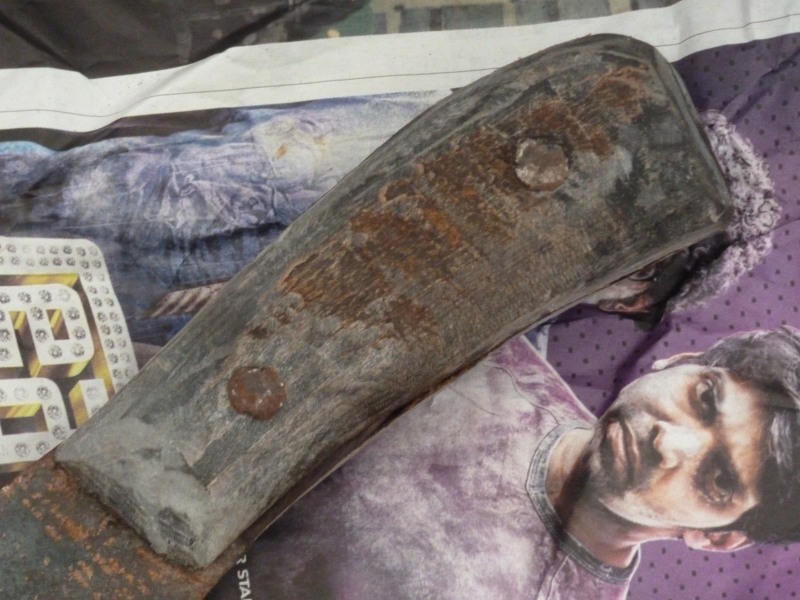 mf_india_bowie03.jpg