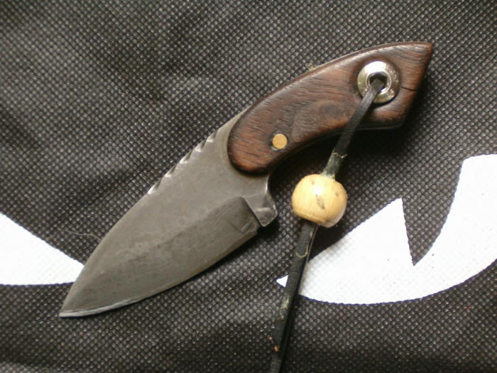 818136.jpg