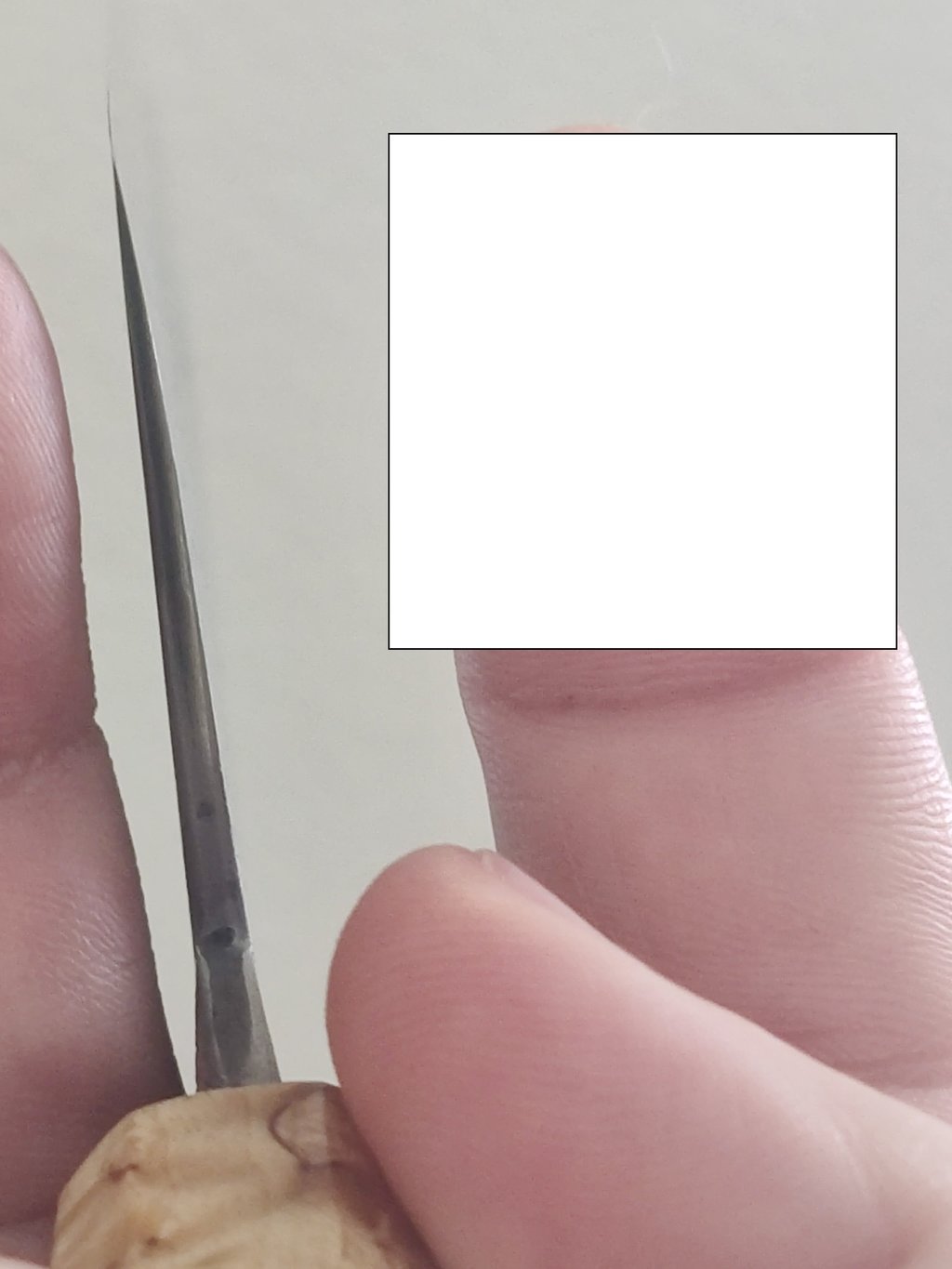 45996709dq.jpg