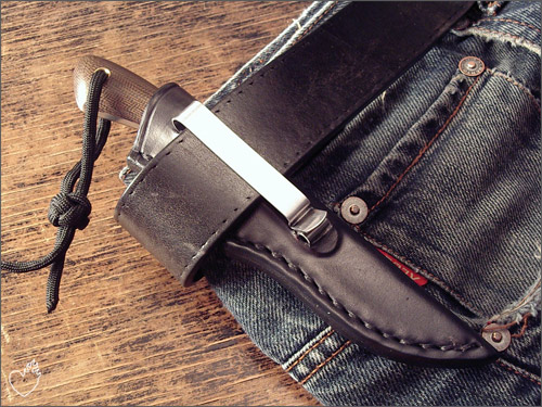 bona_lizzard_sheath_05.jpg