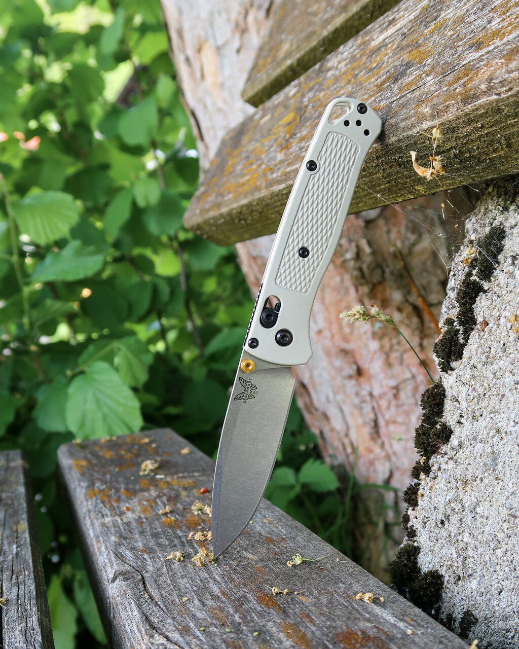 49835318wb.jpg