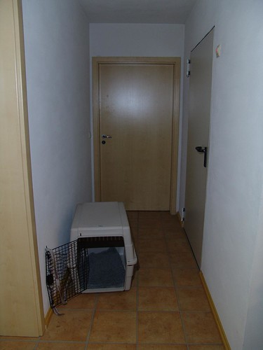 2060845518_7be42eed05.jpg