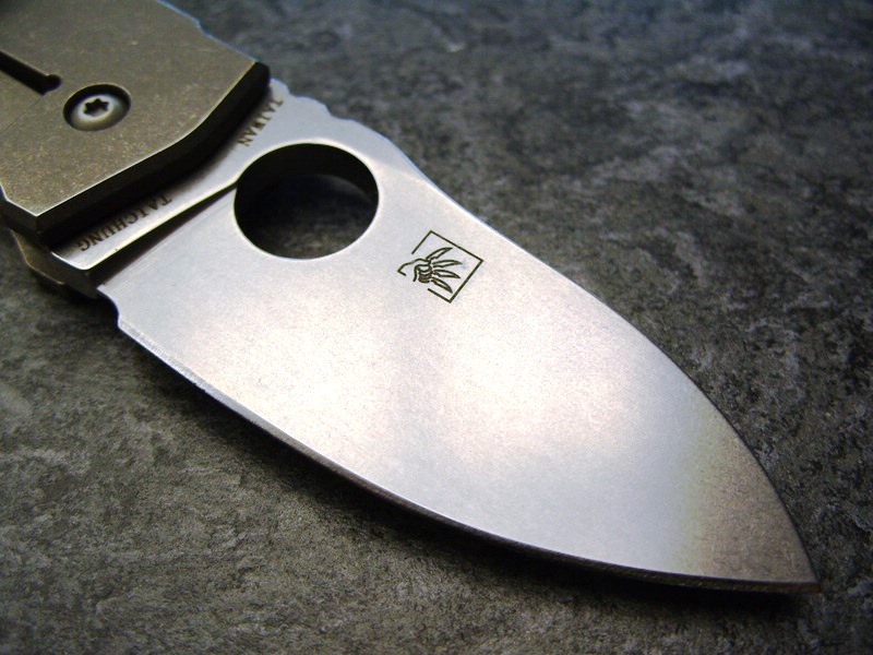 comp_S1057539.jpg