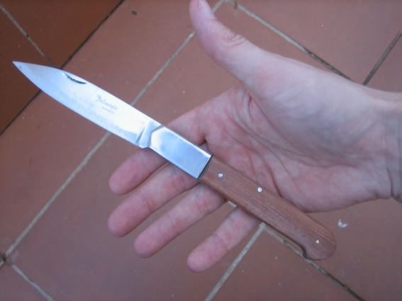 cabrerita_2.jpg