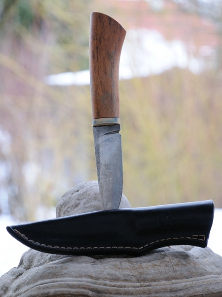 comp_2010-01-31_0645.jpg
