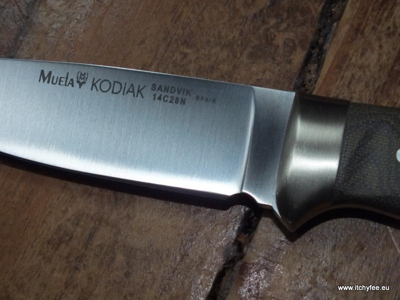 Kodiak_Mircarta10.jpg