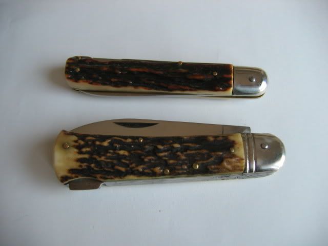 img1480rk9.jpg