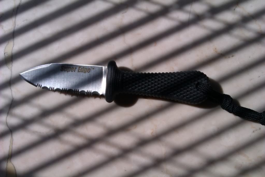 IMAG0182.jpg