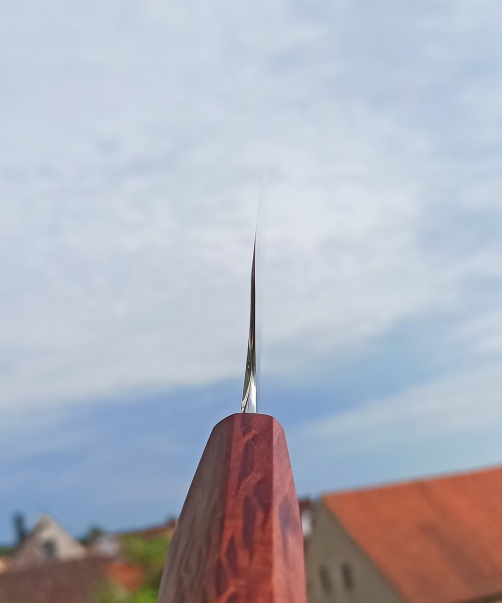 44404938vg.jpg