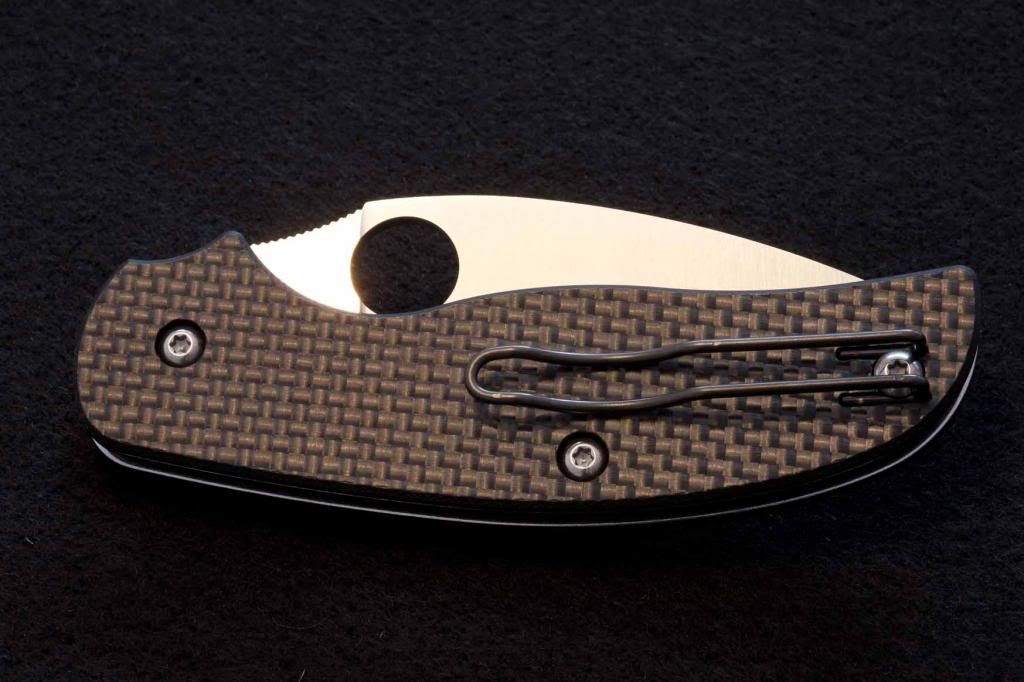 SpydercoSageBild9_zpsdd0b71d7.jpg