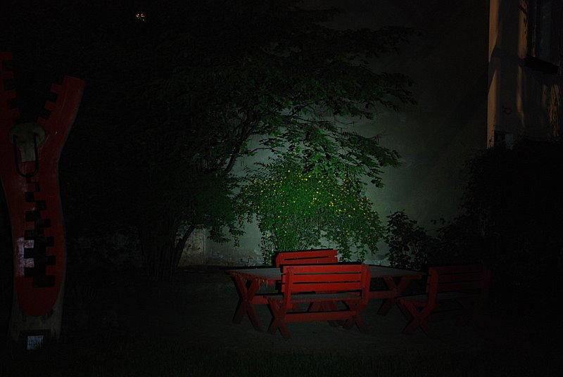 DSC_0604_s3mid.JPG