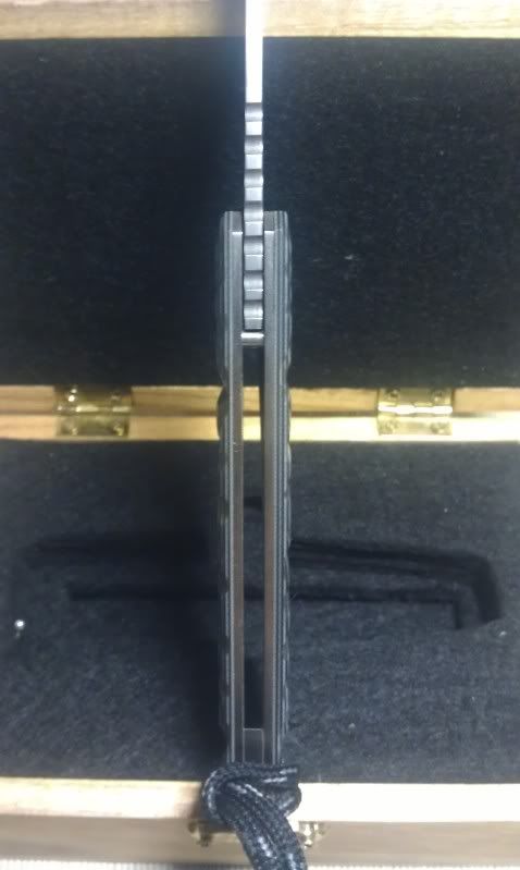 IMAG0177.jpg