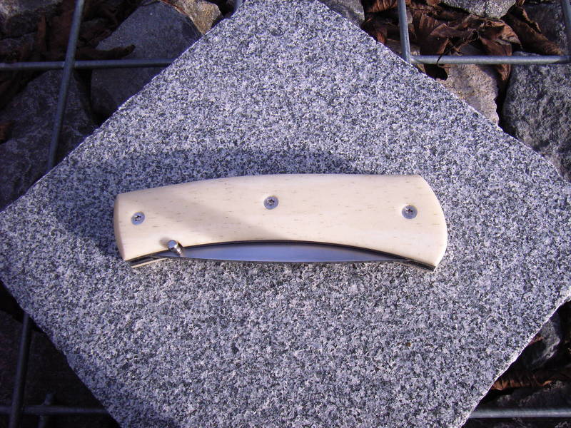 RIMG0098.JPG