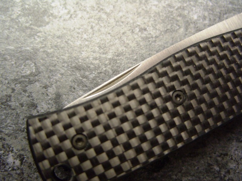 comp_S1055430.jpg
