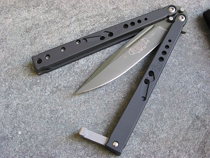 Dragonfly5.jpg