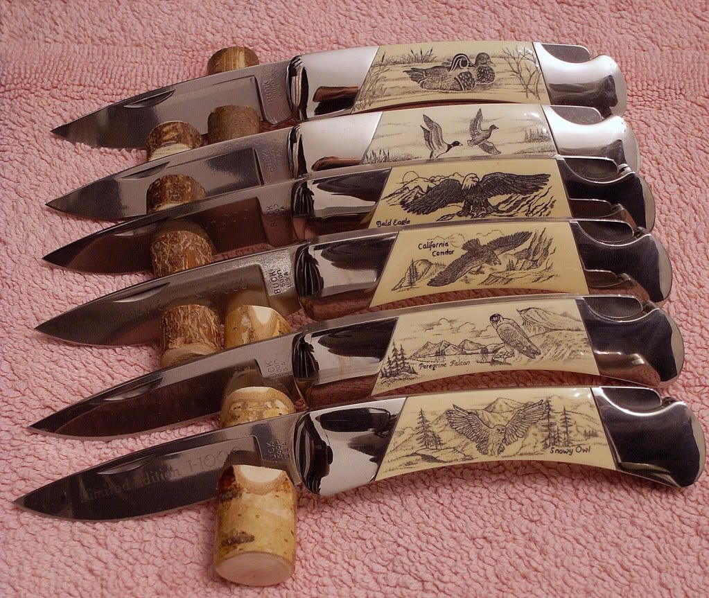 Buck500Scrimshawsechs-1.jpg
