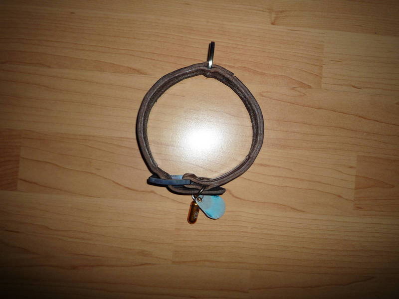 p1020251.jpg
