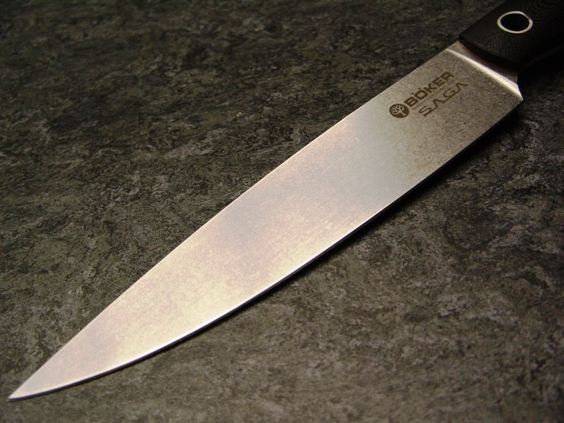 comp_S1056244.jpg