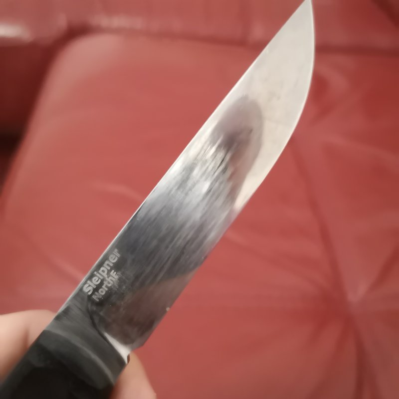 42450746zl.jpg