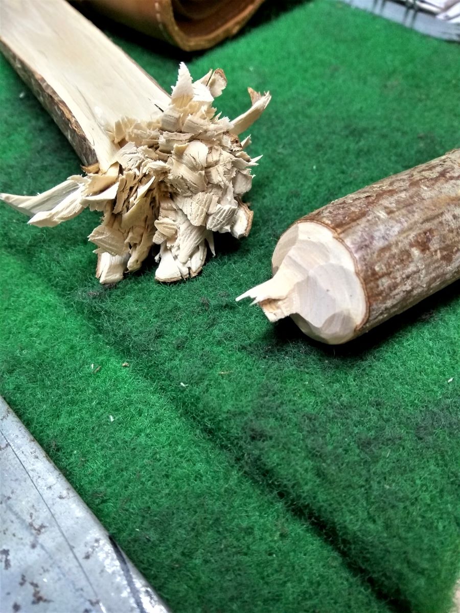 IMG_20201222_093041033_HDR.jpg