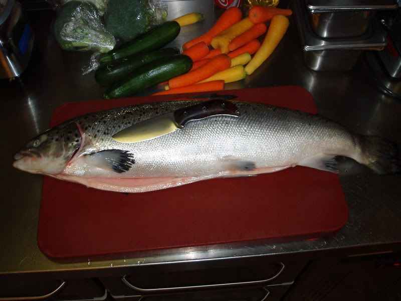 P1010004.jpg