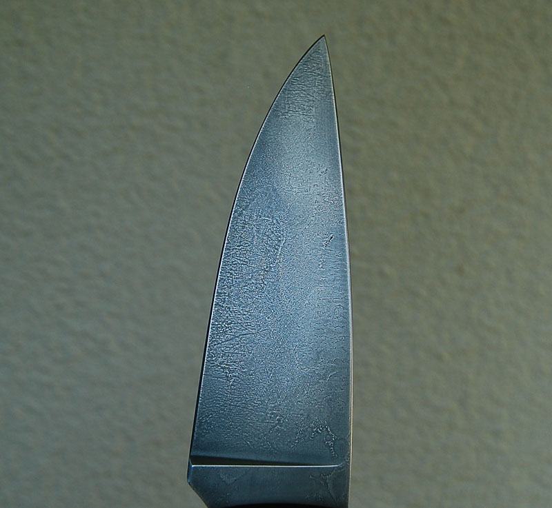 sg-6.jpg