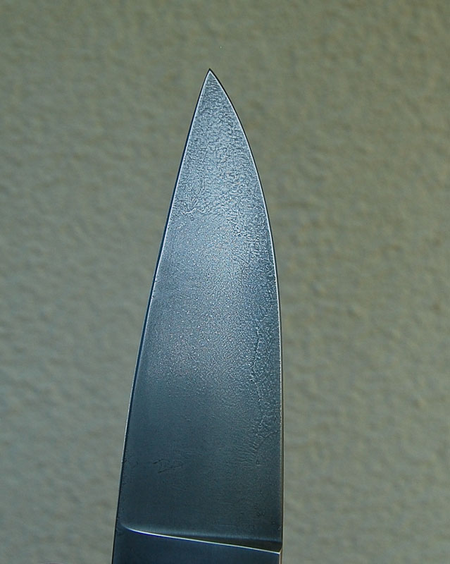 sg-7.jpg