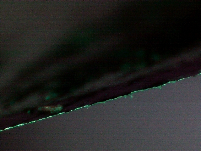 27552054nn.jpg