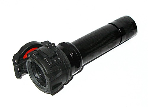Red8.jpg
