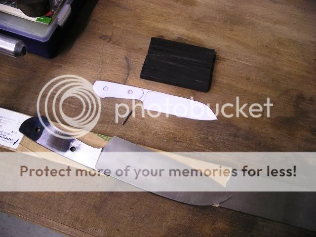 IMGP5199.jpg