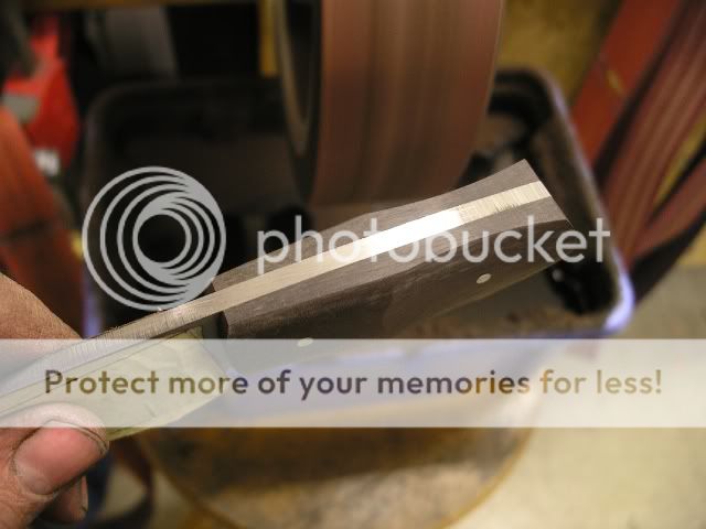 IMGP5332.jpg