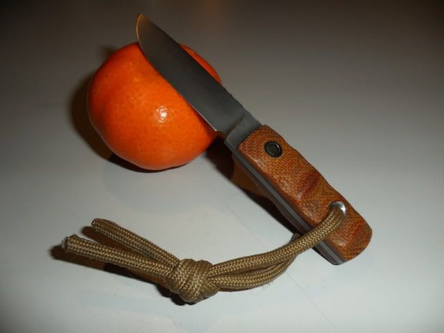 SAM_4042.jpg