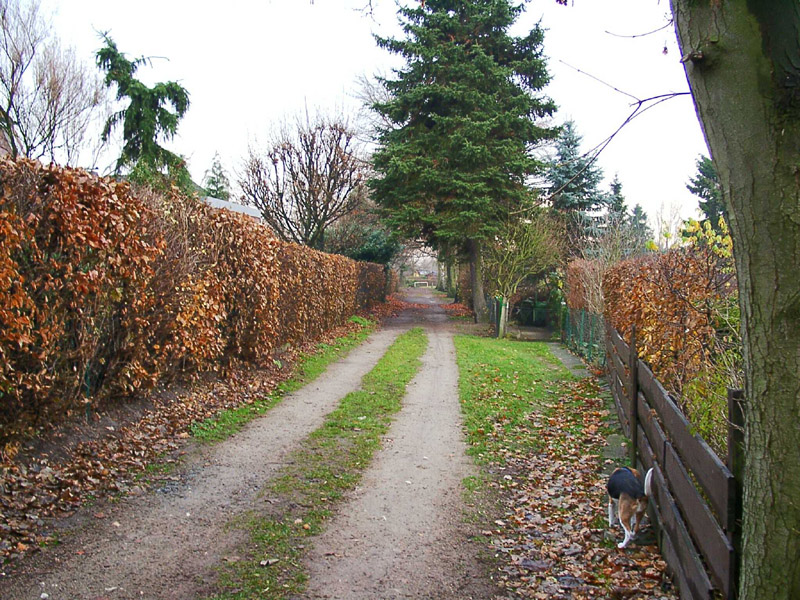 213_p2033.jpg
