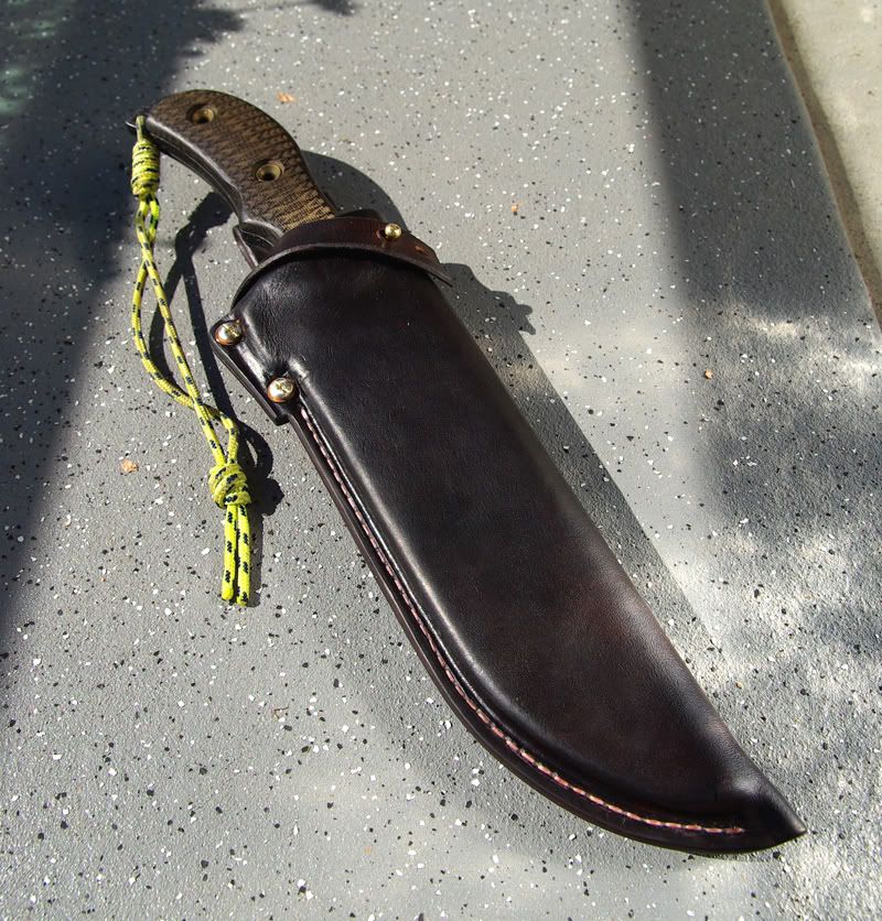 SheathRatweiler08.jpg