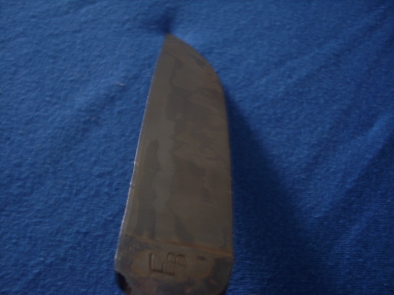 dsci0118.jpg