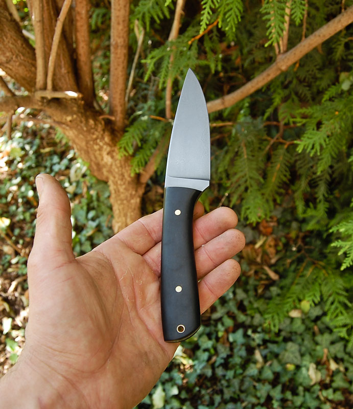 sg-2.jpg