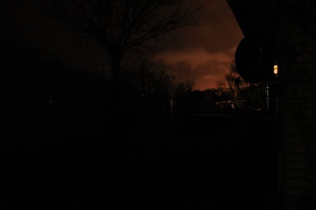 garten.jpg