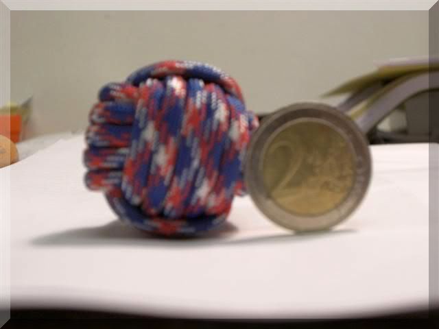 CIMG3010Small.jpg