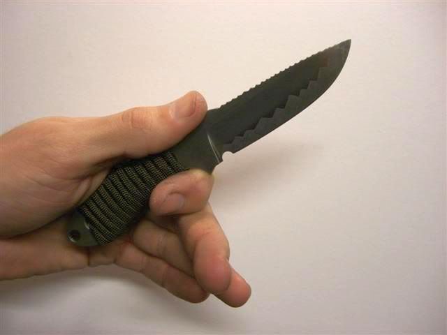 CIMG4653Small.jpg