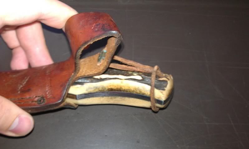 IMAG0310.jpg